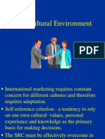 Ch. 9 - Cultural Environment
