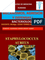Staphilococcus Aureus