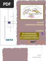 Guia Consorcio Publico