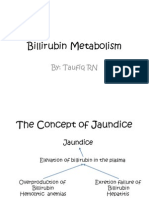 Billirubin Metabolism