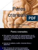 Pares Craneales
