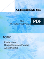 MEMBRAN POTENSIAL