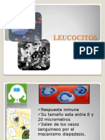 Leuco Cito s