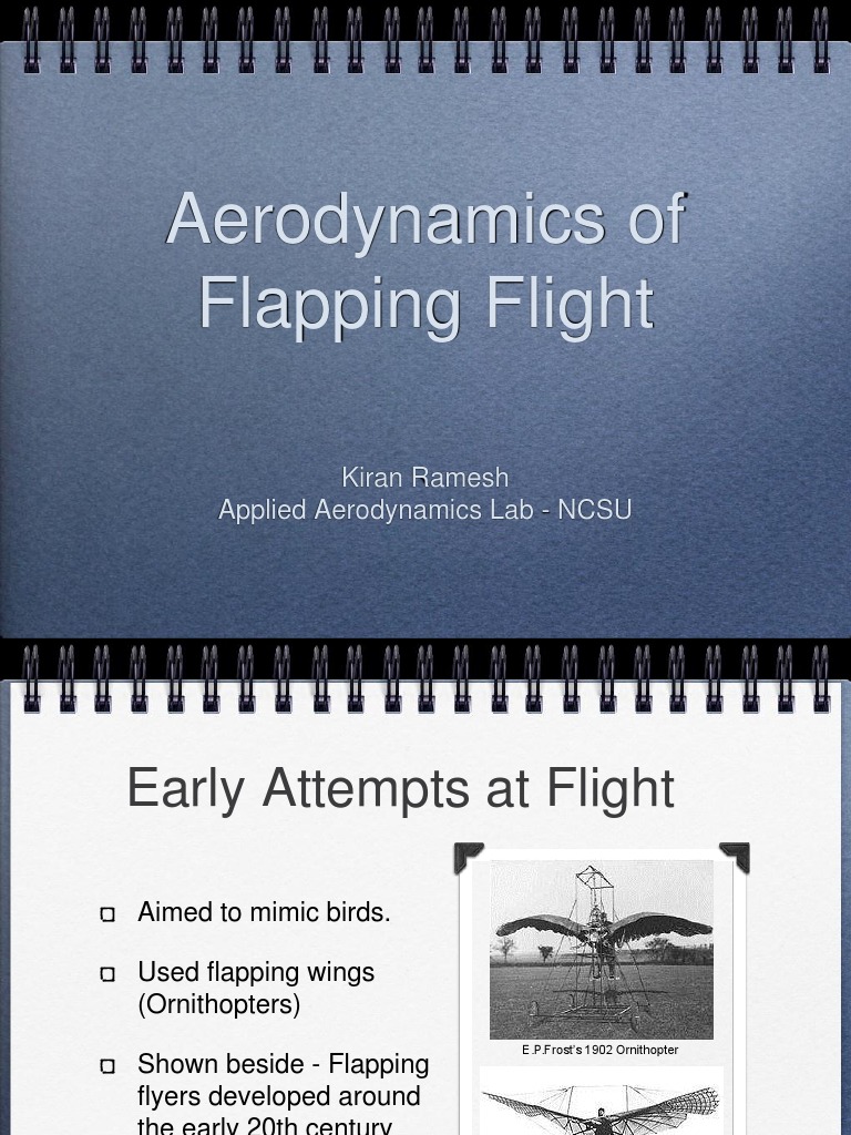Presentation On Unsteady Aerodynamics | PDF | Airfoil | Flight