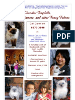 Kitten Flyer July 2011 Email