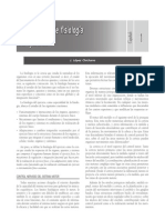 chicharro.pdf