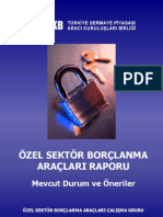 Ozel Sektor Borclanma Araclari Raporu