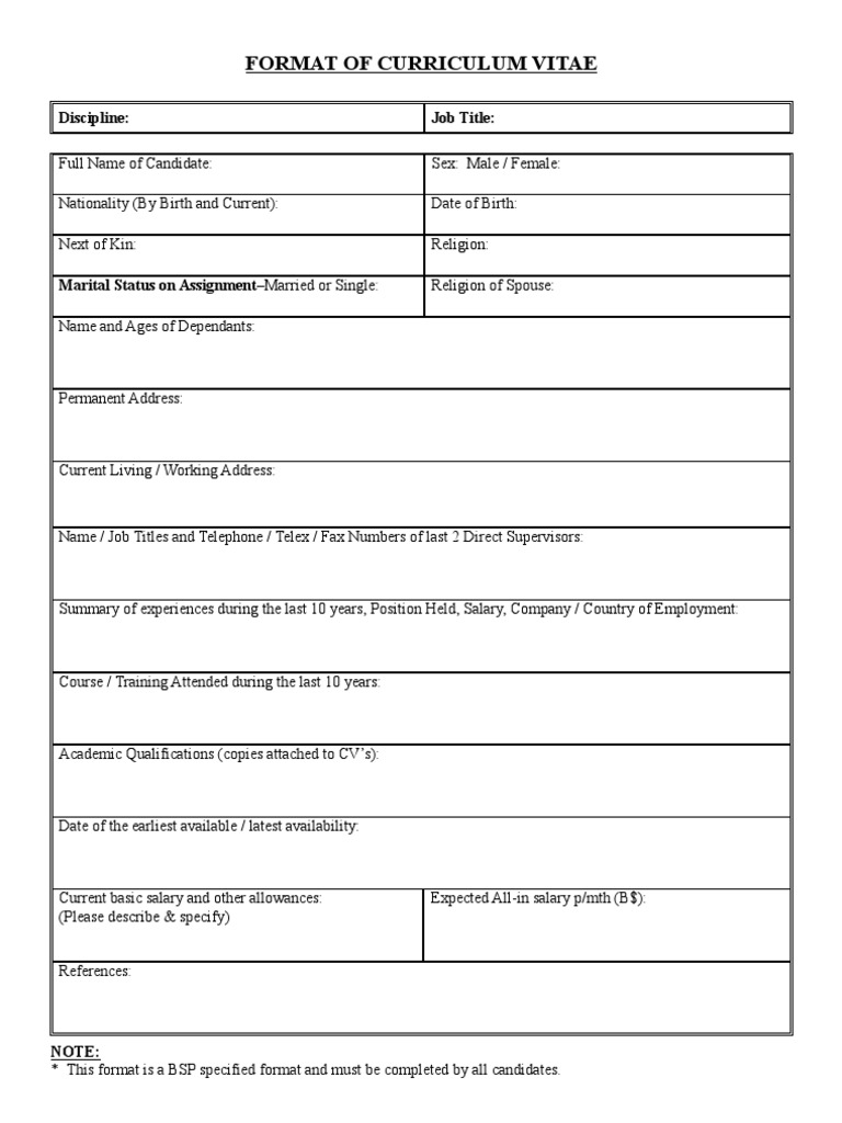 CV Format | PDF