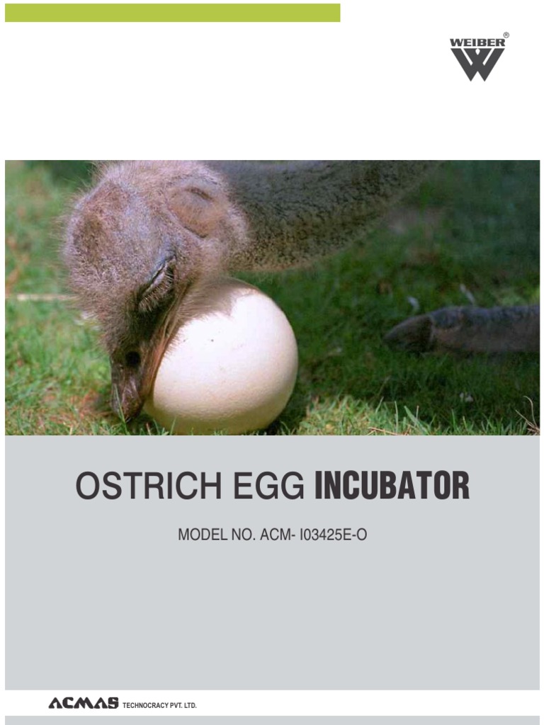Ostrich Egg Incubator | PDF | Humidity | Manufactured Goods