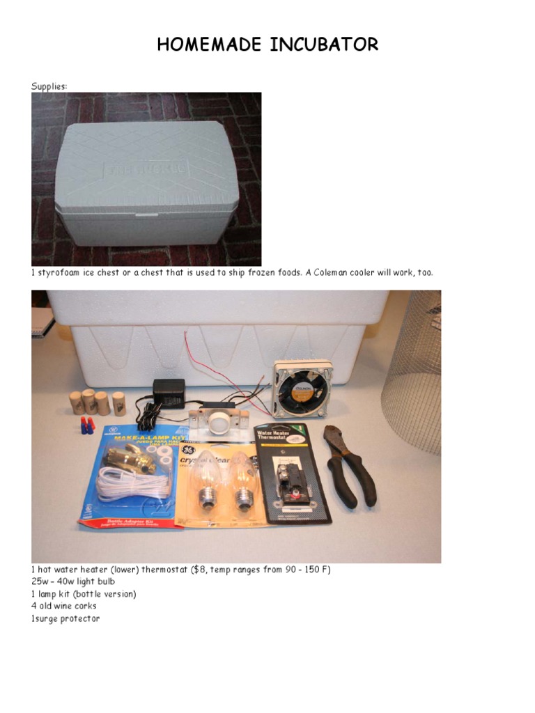 Homemade Incubator | Thermostat | Screw