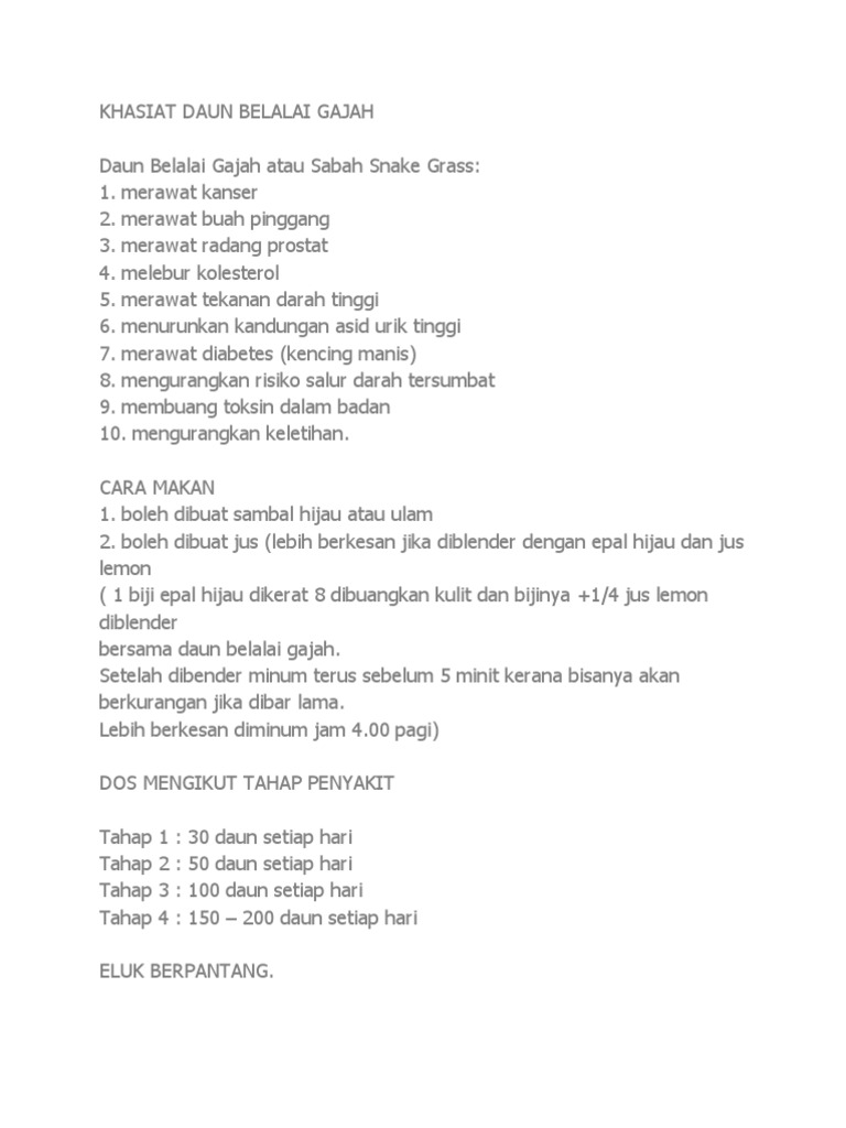Khasiat Daun Belalai Gajah Pdf Vitamin C Berdiet