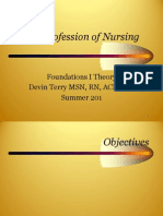 The Profession of Nursing