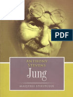 Anthony Stevens - Jung