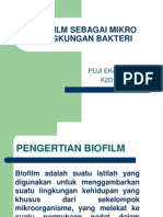 Biofilm Sebagai Mikro Lingkungan Bakteri