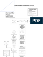 Pathophysiology of Rheumatic Heart Disease