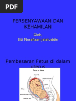 Persenyawaan Dan Kehamilan