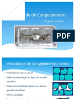 Felipe Penteado - Velocidade de Congelamento (PPT) - Cópia PDF