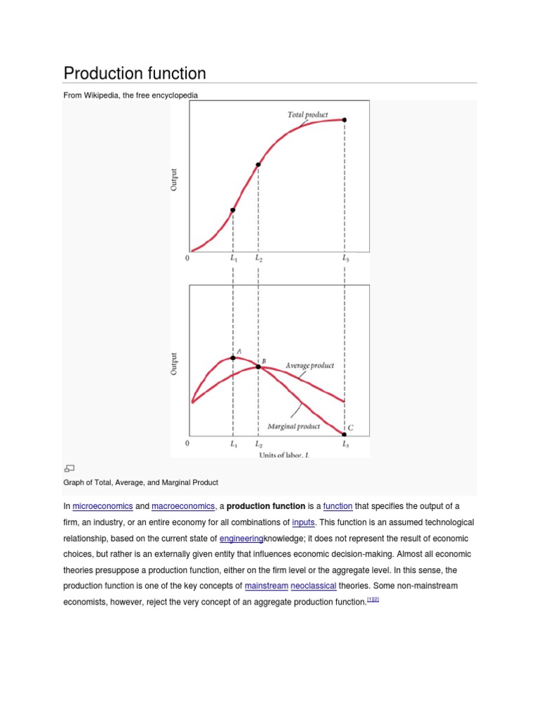 Understanding Production Functions | PDF | Production Function | Gross ...