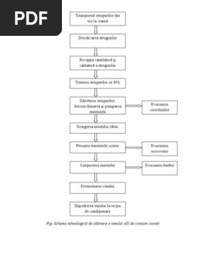 Schema Tehnologica Vin