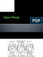 Febre Tifoide