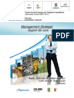 Suport de Curs Management Strategic