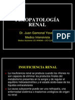 Semana 11.1.-Infuciencia Renal