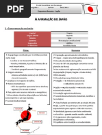 A Afirmação do Japão