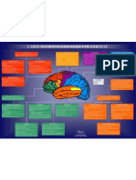 Carte Neuropsychologique Du Cerveau