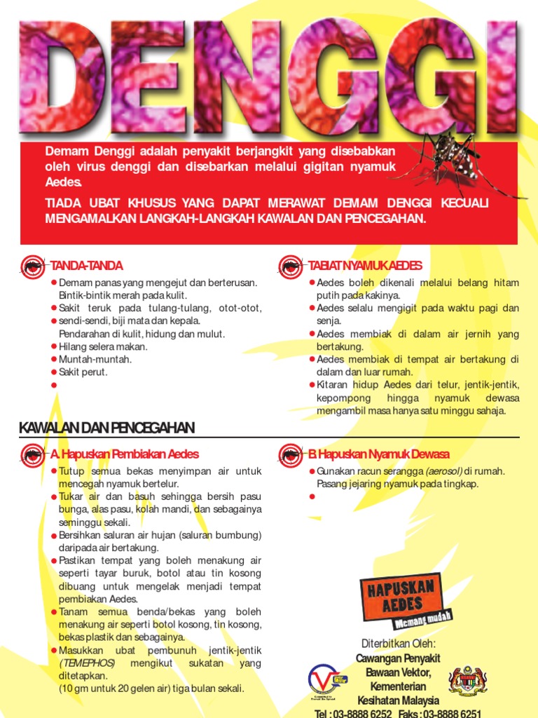 50 Gambar Poster Nyamuk Demam Berdarah Terbaik Kumpulan Gambar Poster