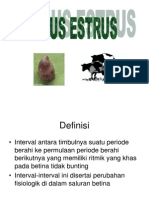 Siklus Estrus