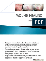 Tissue Repair and Wound Healing Process