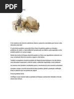 Produtos limpeza caseiros