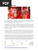 Download Adenoma Hipofise by Charity Davis SN137463811 doc pdf