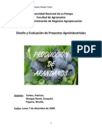 producciondearandanos ANÁLISIS ECONÓMICO