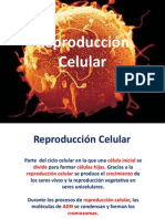 Clase 4. Mitosis, Meiosis