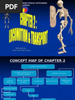 Download 21 a - Support  Locomotion in Humans  Animals by liefeng81 SN13747217 doc pdf