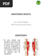 Anatomia Basica