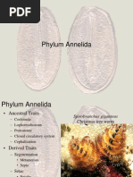 Download ppt_annelida by Rizky Aulia Dewi SN137491996 doc pdf