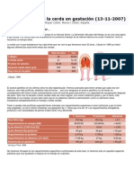 Alimentación de La Cerda en Gestación