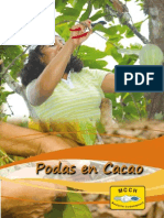 Podas en Cacao