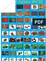 Spice - Gallery Photos in PDF