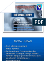 Brief Terapi