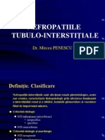 9 Nefropatii Tubulo Interstitiale