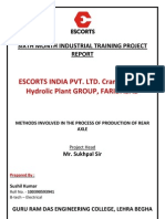 101125206 Escorts Summer Training Project Report