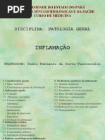 inflamação+part+1