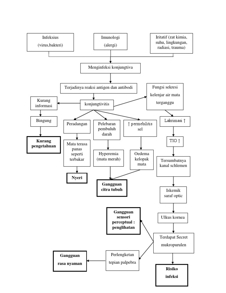 Pathway | PDF