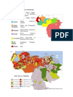 Actividad Ganadera