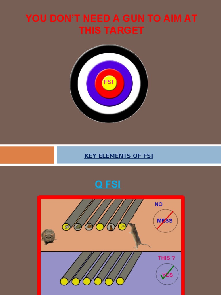 Key Elements of FSI Explained | PDF | Finance & Money Management