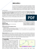 Apontamentos Gaspar.pdf