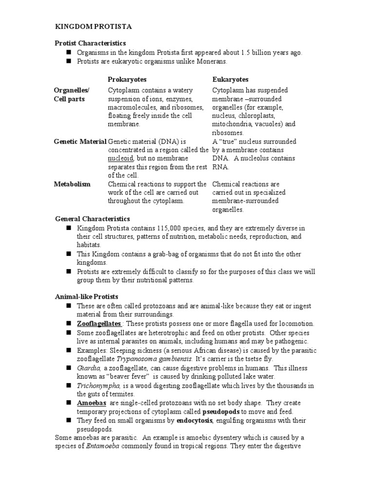 Kingdom Protista Notes | PDF | Algae | Protozoa